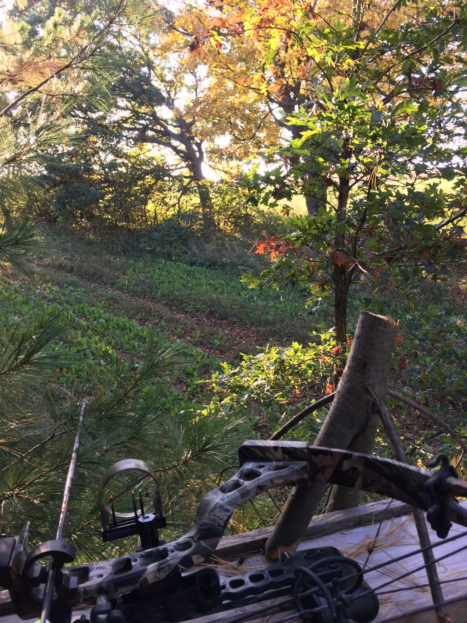 What hunting has taught me about marketing