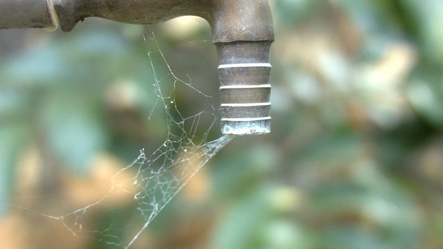 Faucet with cobwebs on it from lack of use